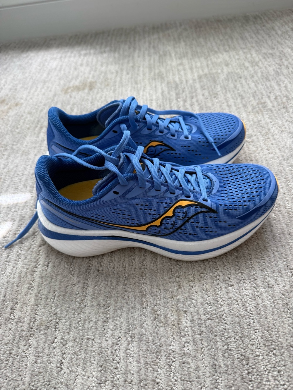 Saucony Endorphin Speed 3 women’s 8.5
